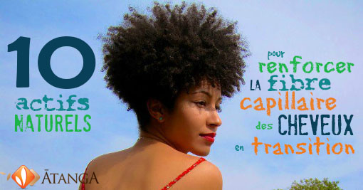10 actifs naturels efficaces pour renforcer la fibre capillaire des cheveux en transition