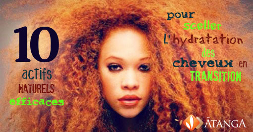 10 actifs naturels pour Sceller l'hydratation des cheveux en transition