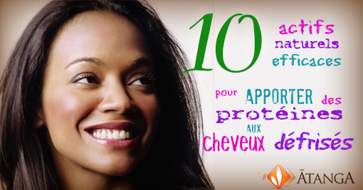 10 actifs naturels efficaces pour Apporter des protéines aux cheveux défrisés